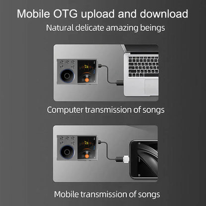 Hi-Fi Digital Audio MP3 Player Lossless DSD High Definition Portable MP3 Music Player Built-in 16GB Walkman Supports 20 Language