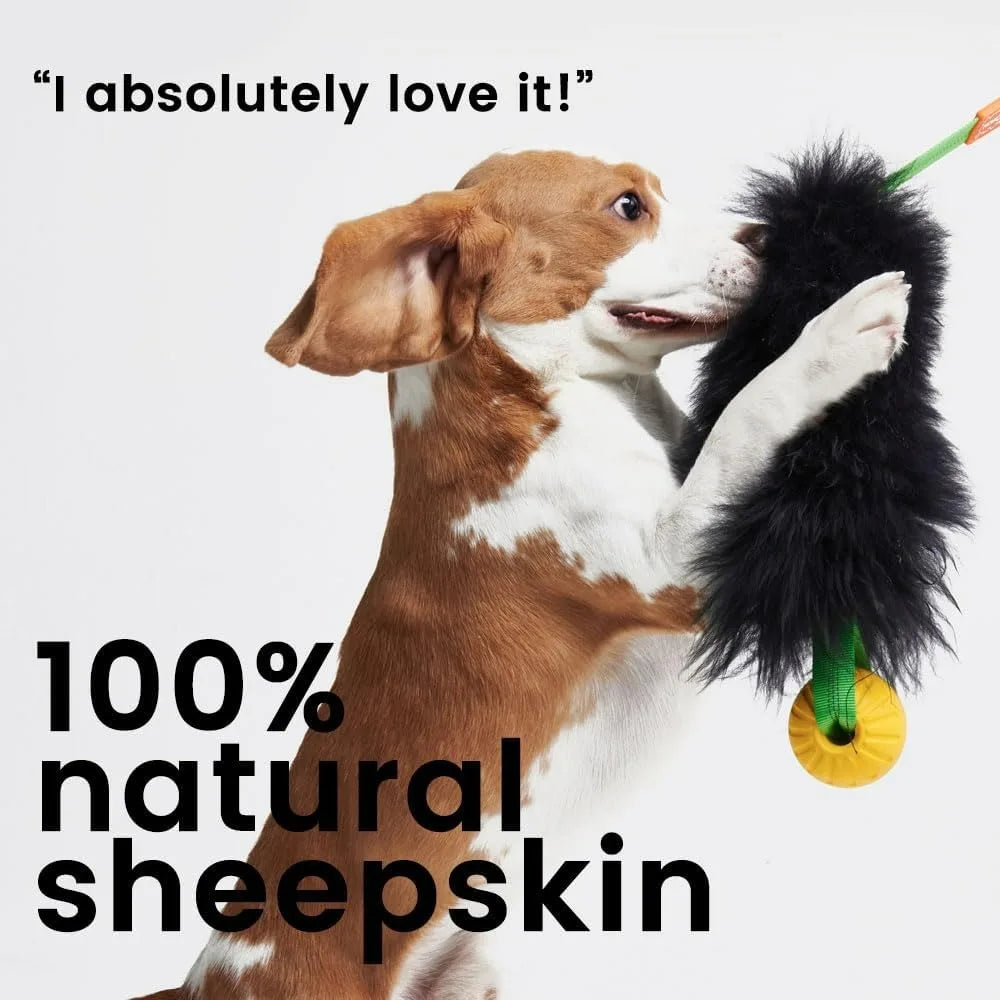 Dog Rope Toy Interactive Dog Bungee Chaser Toy with Rubber Ball Pet Tug Toy Sheepskin for Medium Large Dogs Exercise Outdoor