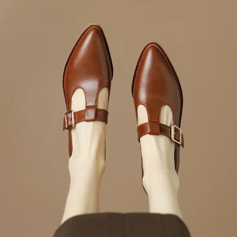 Ladies Shoes 2024 New Mary Janes Women's High Heels Fashion Buckle Strap Office and Career High Quality Pointed Toe Heels Women