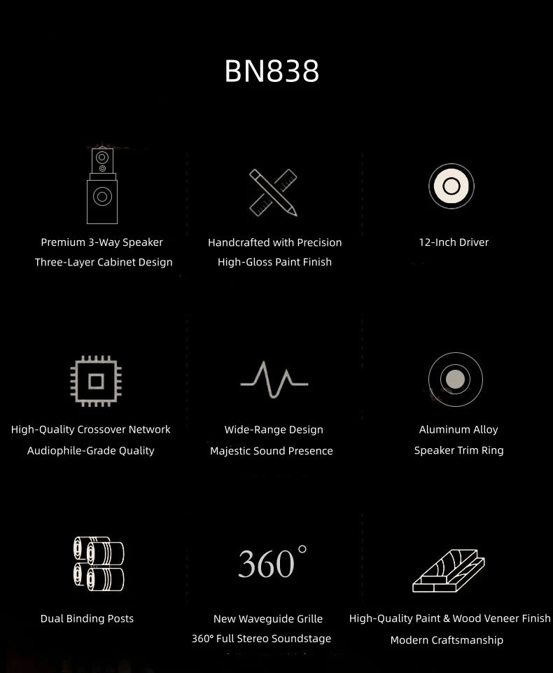 BN838 Hi-Fi Home Theater Speakers with Karaoke Amplifier, Luxury Audio System for Villa & Large Living Rooms