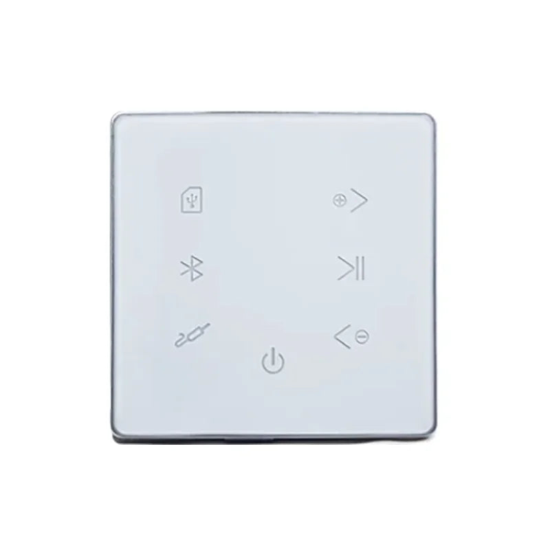 Bluetooth Wall Amplifier Home Theater Sound System Mini Audio Amplificador Smart Background Stereo Music Amp Hotel Restaurant