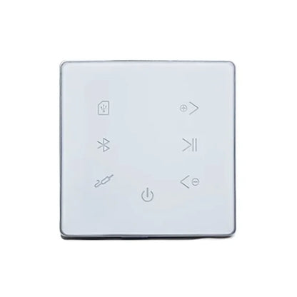 Bluetooth Wall Amplifier Home Theater Sound System Mini Audio Amplificador Smart Background Stereo Music Amp Hotel Restaurant