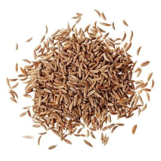 Premium Cumin Seeds Jeera Export Quality Whole Spice Cleaned Natural Seasoning Culinary Aroma from Saanvisha Gujarat India