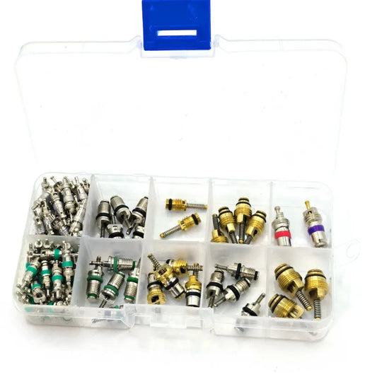 100Pcs/box R134A Car A/C Core Valves Automotive Air Conditioning Assortment Kit 1 by PDG ibma