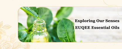 EUQEE 10ML Natural Essential Oils Eucalyptus Spearmint Vanilla Lavender Lemon Oregano Oil For Humidifier DIY Soap,Candle Making