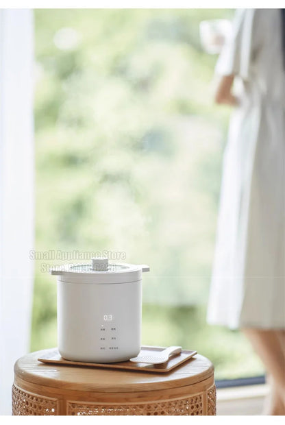 Olayks 1.2L Electric Rice Cooker Ceramic Glaze Liner Mini Electric Cooker Fast Cooking Multifunctional Kitchen Appliances 220V