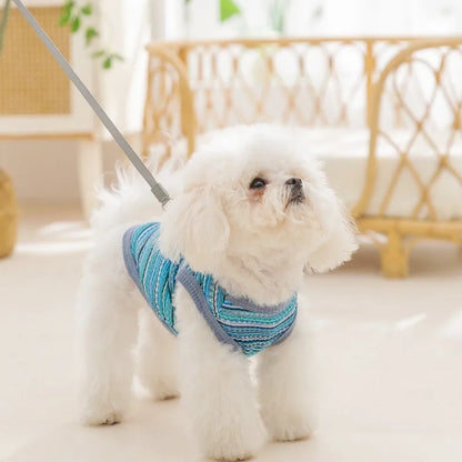 Breathable Mesh Pet Dog Vest Dog Summer Clothes Thin Cooling T Shirt Chihuahua Bichon Costume Cat Clothing Girls Puppy Shirt New