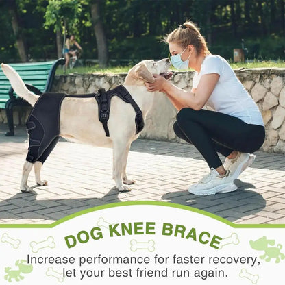 Orthopedic Brace For Dogs Pet Joint Hip Support Brace Adjustable Leg Support For Keeping Animal Joints Warm And Stable
