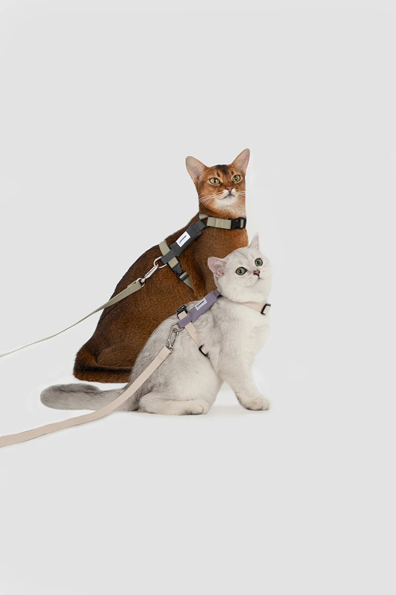Cat Harness Leash Set Traction Rope Kitten Chest Strap Pet Outdoor Supplies for Pet Breathable Harness Leash Puppy Cat Vest
