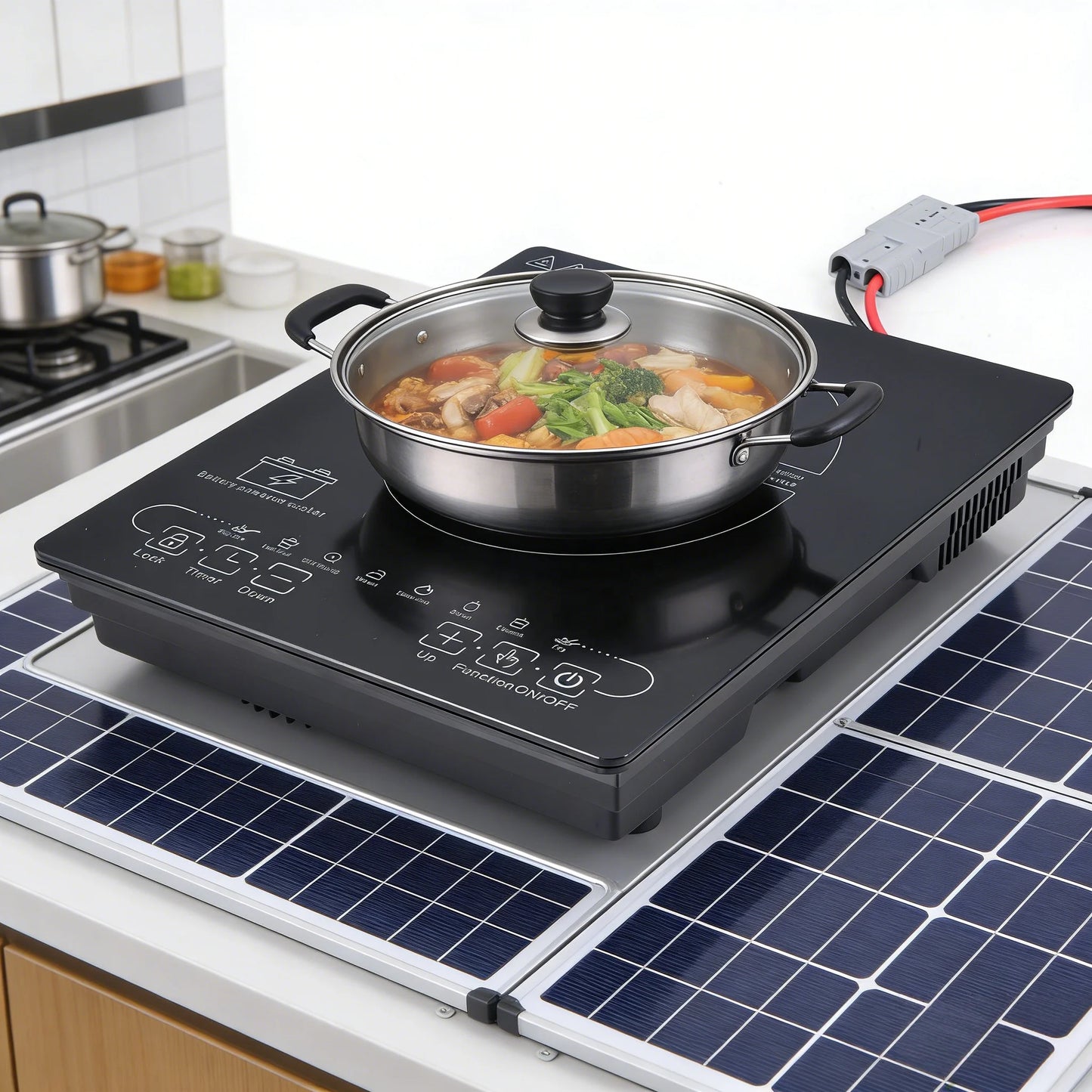 Newest Single 24V 48V Solar DC Induction Stove Battery-Powered Drop-In Desktop Design for Indoor/Outdoor Use Hotels for US