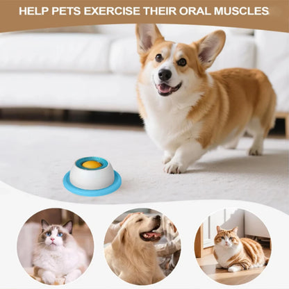 New Dog supplies Anti-overturning Pet toys anti-greedy bite-resistant anti-boring artifact kittens cats dog licking supplies