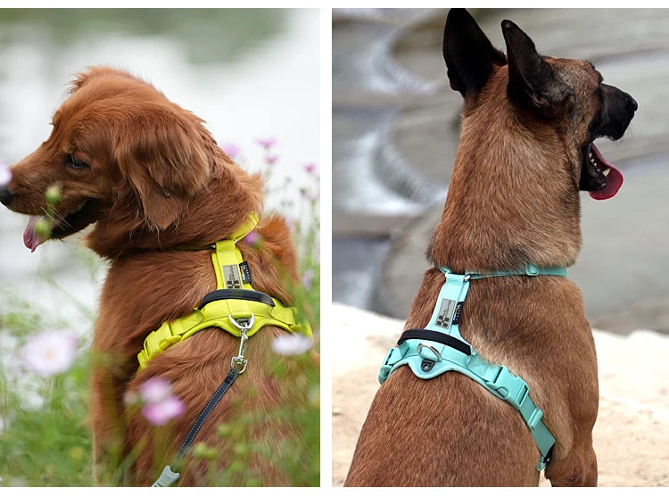 SMALL COMBINATION Pet Harness No Pull Nylon Reflective Dog Harness Adjustable Comfortable Control Walking Running Accessories