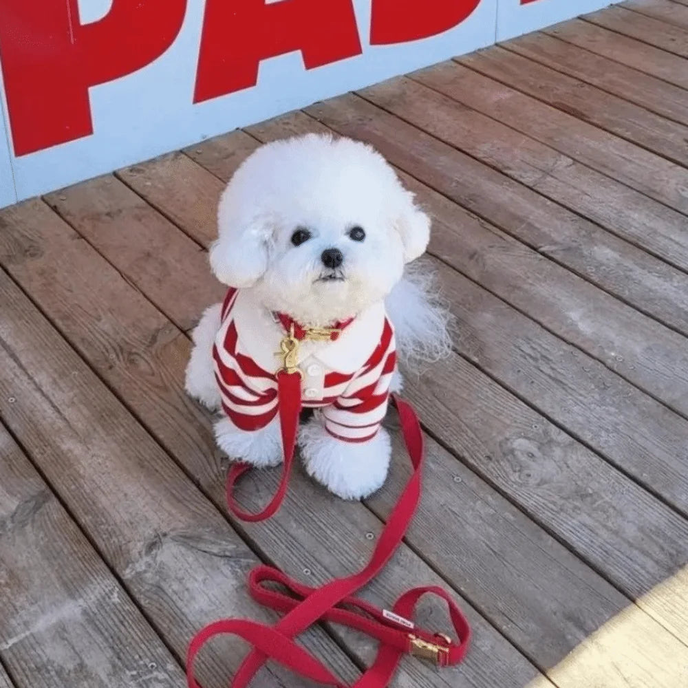 Fashion Striped Collared Dog Shirt Soft Breathable Cooling Vest Pet Hoodie For Puppy Outdoor Activities