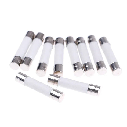 10 Pcs Microwave Ceramic Fuse Electric 20A 250V Home Supplies DIY 6x30mm Wholesale