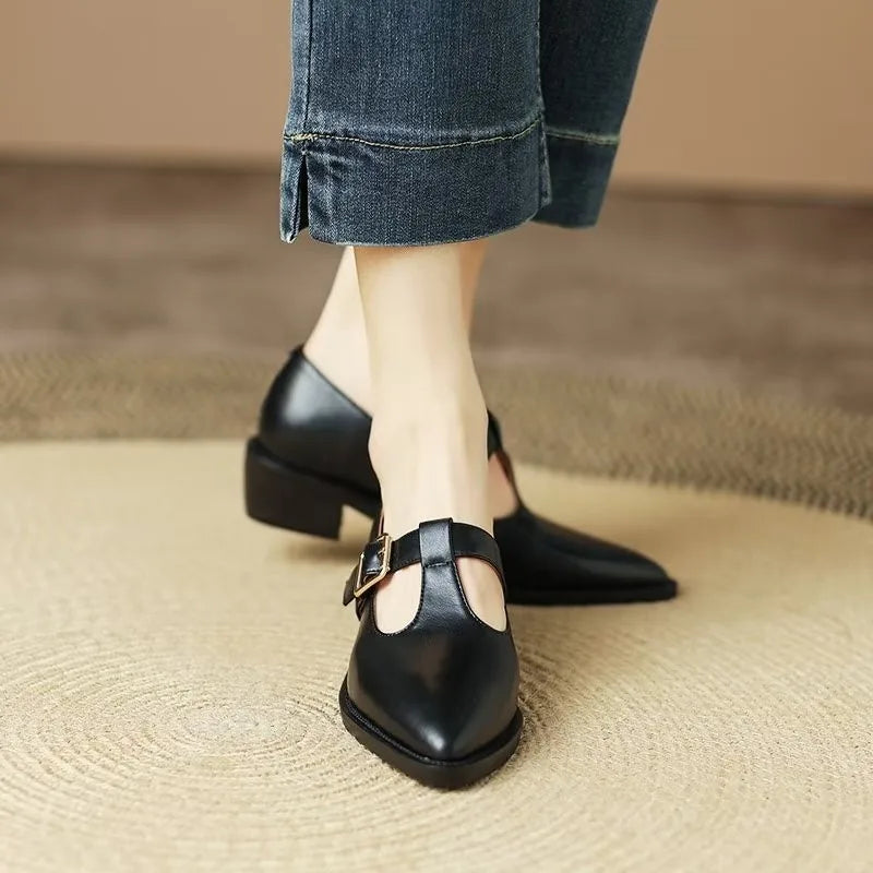 Ladies Shoes 2024 New Mary Janes Women's High Heels Fashion Buckle Strap Office and Career High Quality Pointed Toe Heels Women