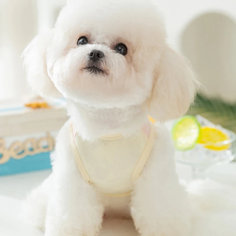 Thin Dog Summer Clothes Mesh Dog Cooling Vest Pet T Shirt Dog Sun Protective Clothing with D-Ring Chihuahua Kitten Puppy Costume
