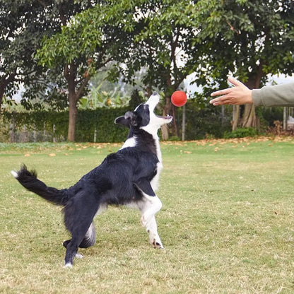 Pet Solid Elastic Toy Ball Cat/Dog Toy Ball 5/6/7CM Rubber Bite Resistant Dog Outdoor Training Tool Pet Teeth Cleaning Supplies