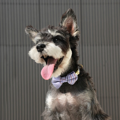 Personalized Dog Collar Cute Bowtie Puppy Cat Free Engraving Pet Buckle Collar For Small Medium Dogs Cats Chihuahua Yorkshire