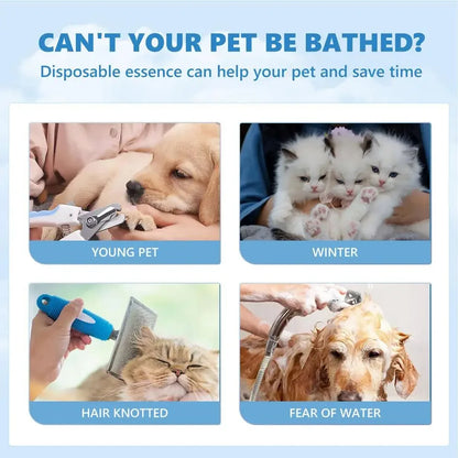 Steamed dog brush with essential oil Electric Spray Cat Hair Brush 3 in1 Dog Steamer Brush for Massage Pet Grooming Removing