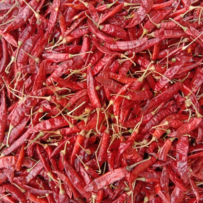 Premium Sannam S4 S334 S10 Dry Red Chilli Export Quality High Pungency Sun Dried Whole Chilli from India