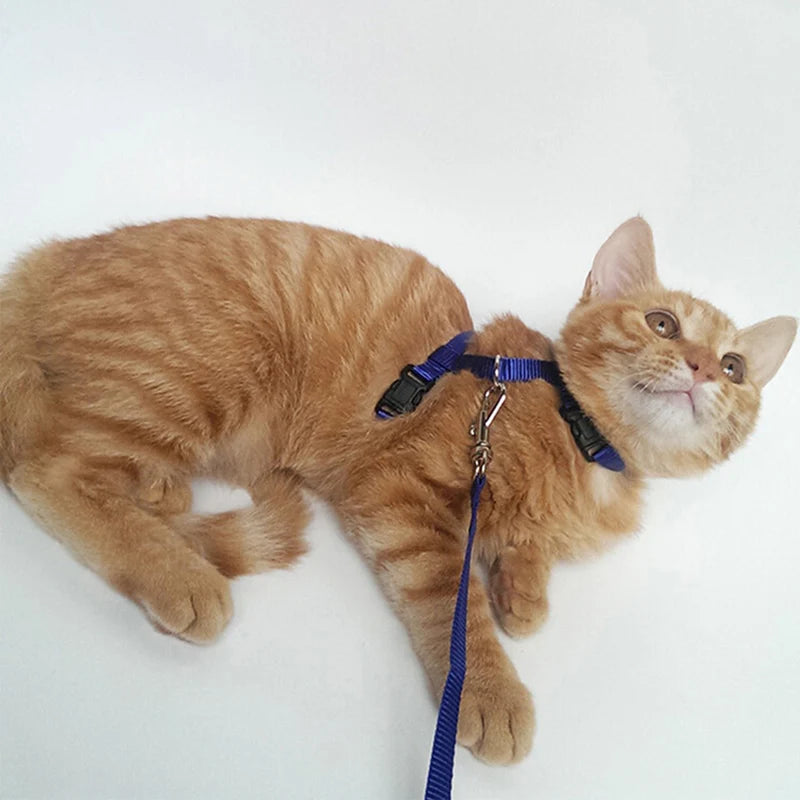Adjustable Pet Cat Collar For Cats Cozy Nylon Rabbit Kitten Kedi Harness Leash Set Dog Cat Accessories Products For Pets