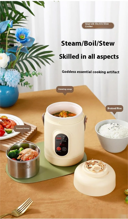 HOMEFISH Multifunctional Rice Cooker Portable Small Travel Electric Kettle Household Hot Pot with 110V US/220V EU Plug