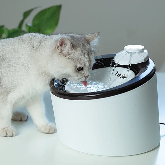 Truelove Pet Water Fountain Automatic Cat Water Fountain Electric Mute Water Feeder USB Dog Drinker Bowl Pet Drinking Dispenser by PDG ibma