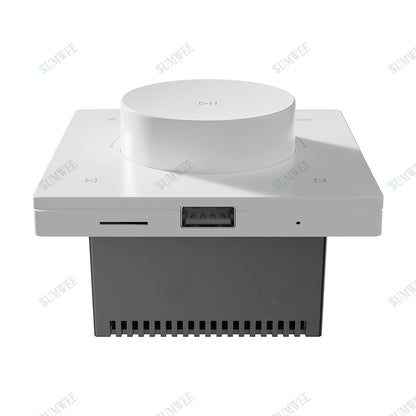 Mini Wall Amplifier Panel Bluetooth-compatible HiFi Home Theater Stereo Sound Audio TF USB Music control system ceiling speakers