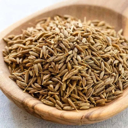 Premium Cumin Seeds Jeera Export Quality Whole Spice Cleaned Natural Seasoning Culinary Aroma from Saanvisha Gujarat India
