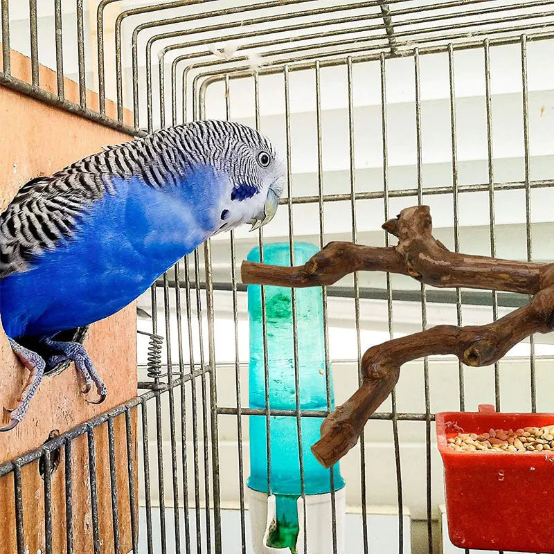 1Pc Pet Standing Stick Wild Grape Wood Pole Parrot Cockatiel Parakeet Station Board Bite Claw Grinding Toy Bird Cage Accessories