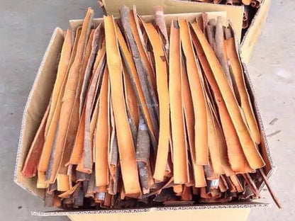 Best Quality Factory In Vietnam Best Rate Split Cassia Customized Cutting To Order