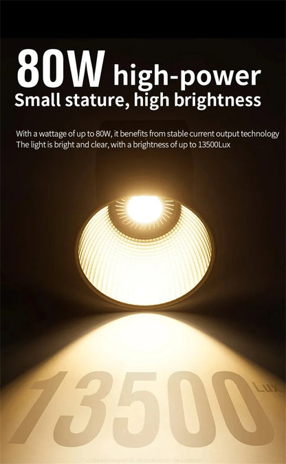 ZU80 COB Photo Studio Light Bi-Color 2500K-8500K LED Video Light CRI95+ TLCI97+ Photography Fill Lighting with Diffuser