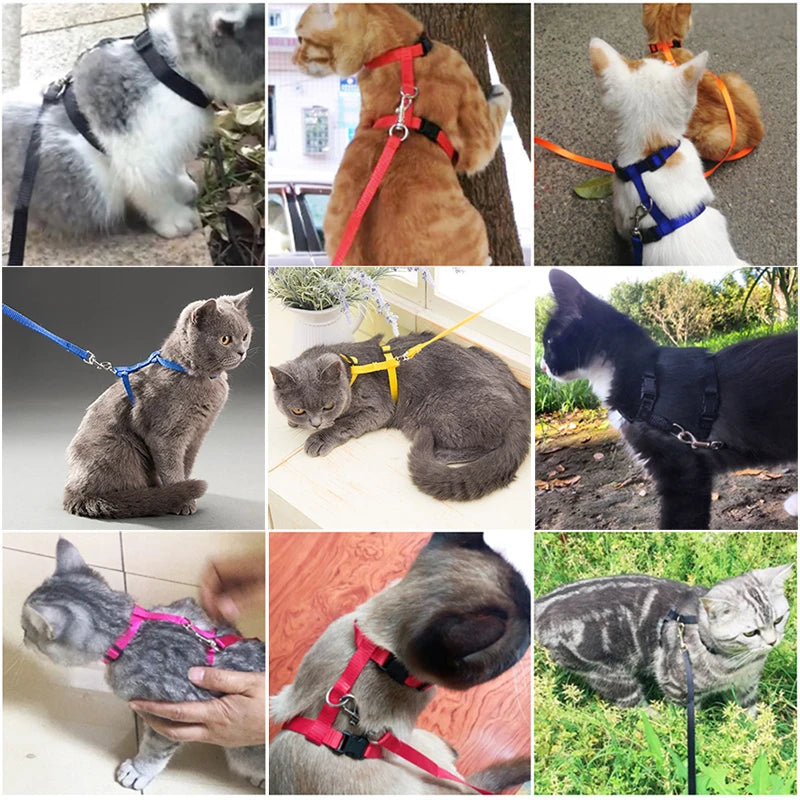 Adjustable Pet Cat Collar For Cats Cozy Nylon Rabbit Kitten Kedi Harness Leash Set Dog Cat Accessories Products For Pets