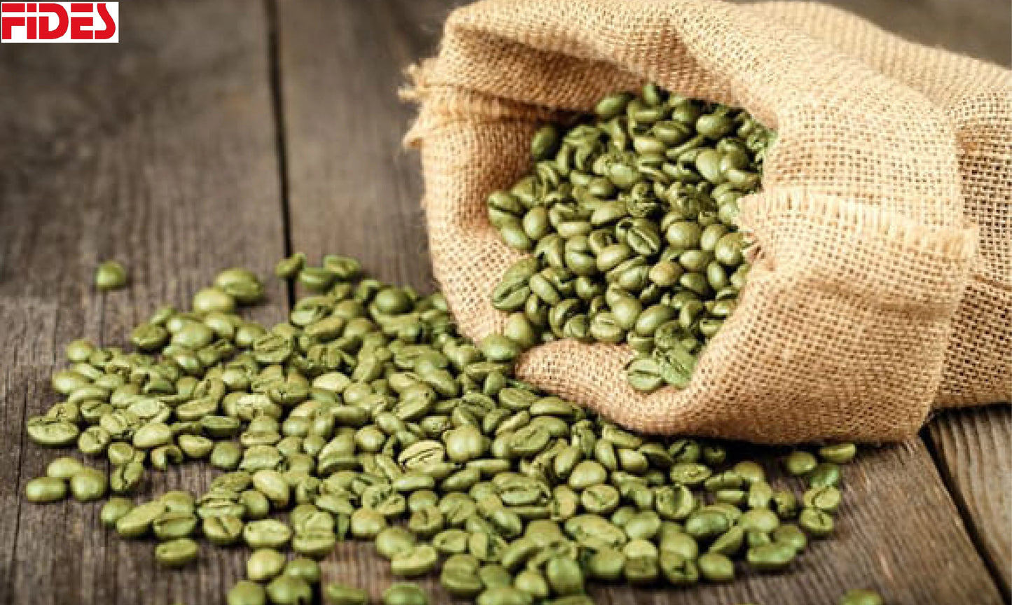 Green Coffee Beans in Bulk Wholesale Coffee Suppliers Organic Green Coffee