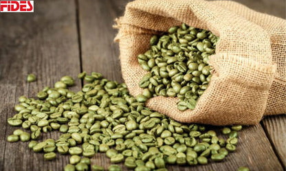 Green Coffee Beans in Bulk Wholesale Coffee Suppliers Organic Green Coffee