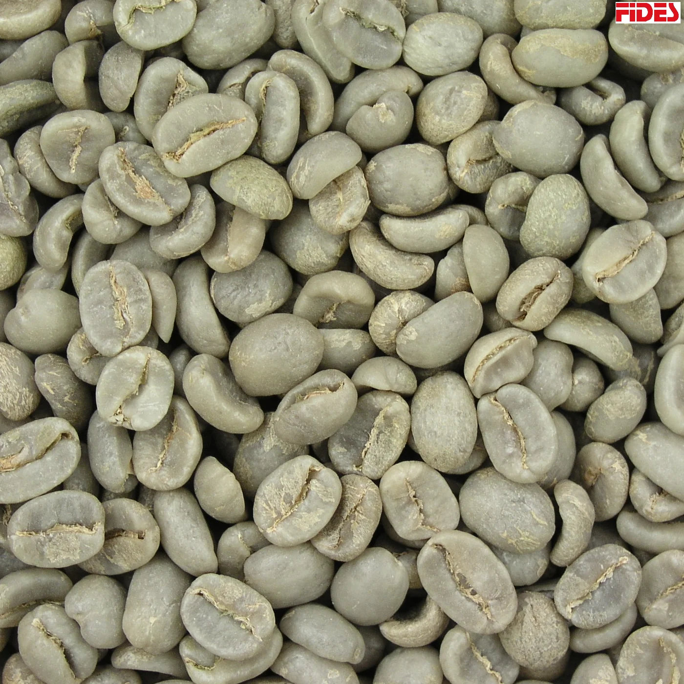 Green Coffee Beans in Bulk Wholesale Coffee Suppliers Organic Green Coffee