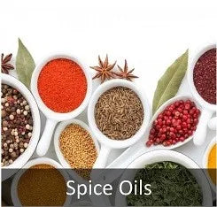 High Quality 100% Natural Body Massage Oils Carrier Oil Cold Pressed, Bulk Bitter Apricot Kernel Organic Oil Pure for Cosmetics