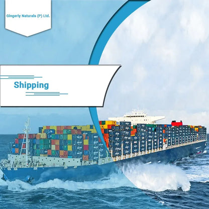 Superior Quality Flax/Linseed Oil in Liquid Form Bulk Suppliers From India at Competitive Price