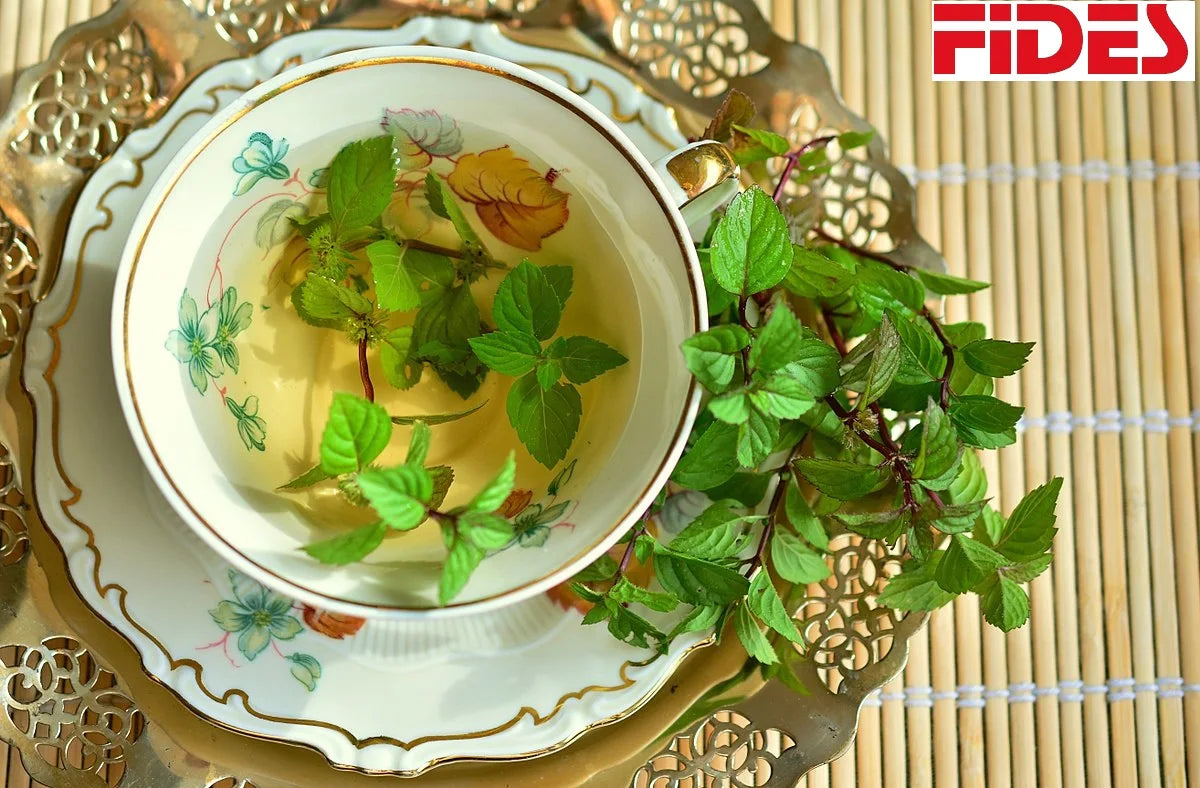 Organic Mint Tea ISO Certified 100% Natural Loose Tea Cool Flavour Freshness Health Benefits Private Label Bulk Sachet Box
