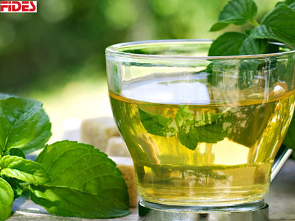 Organic Mint Tea ISO Certified 100% Natural Loose Tea Cool Flavour Freshness Health Benefits Private Label Bulk Sachet Box