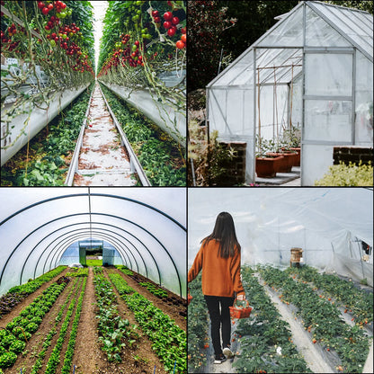 SucceBuy Agricultural Greenhouse Film Clear Plastic Farm Crops Vegetable Cover UV Resistant Polyethylene Covering Plants Flowers